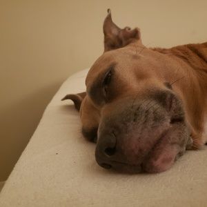 Meet your Posher, Zachary